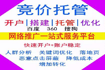 网络推广竞价实战案例分析集